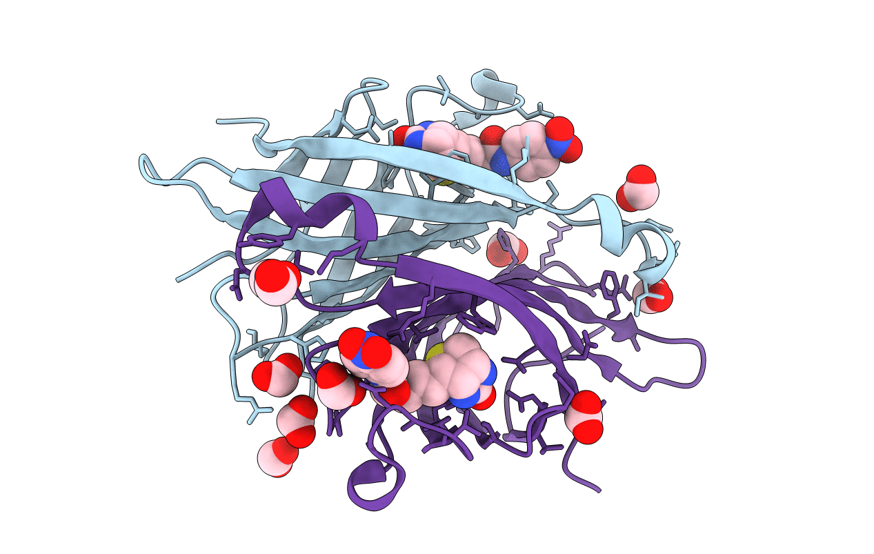 2FHL image