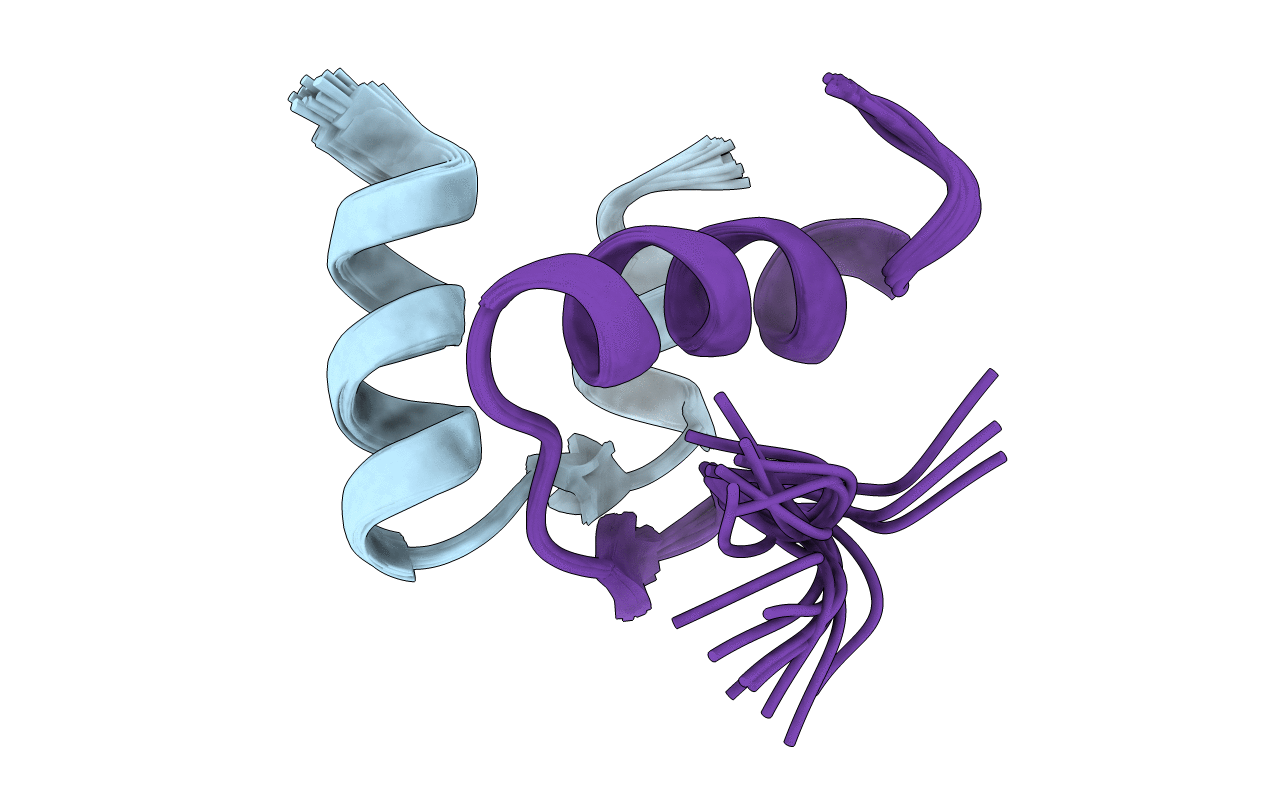 2FHW image