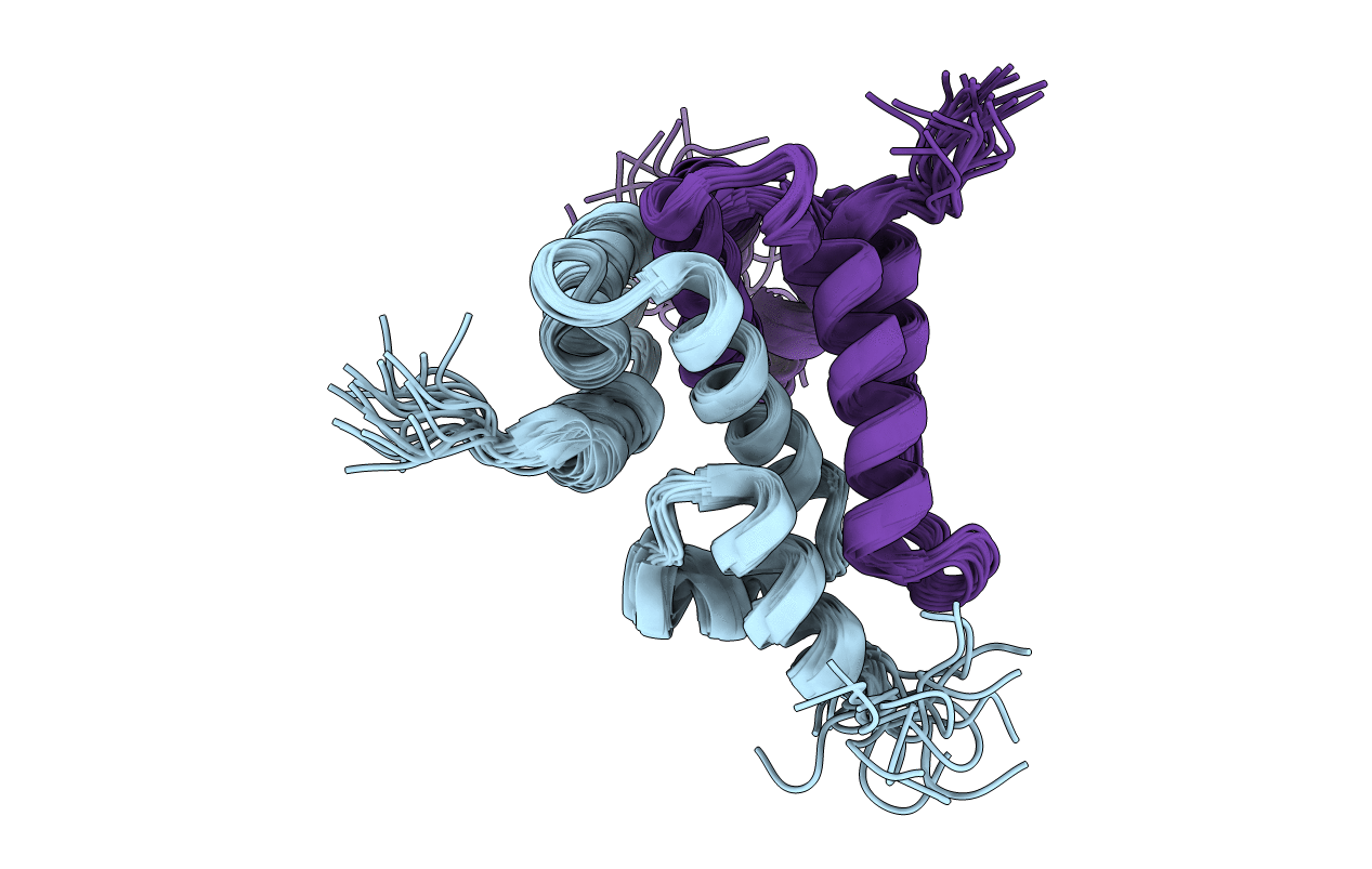 2fi2 image