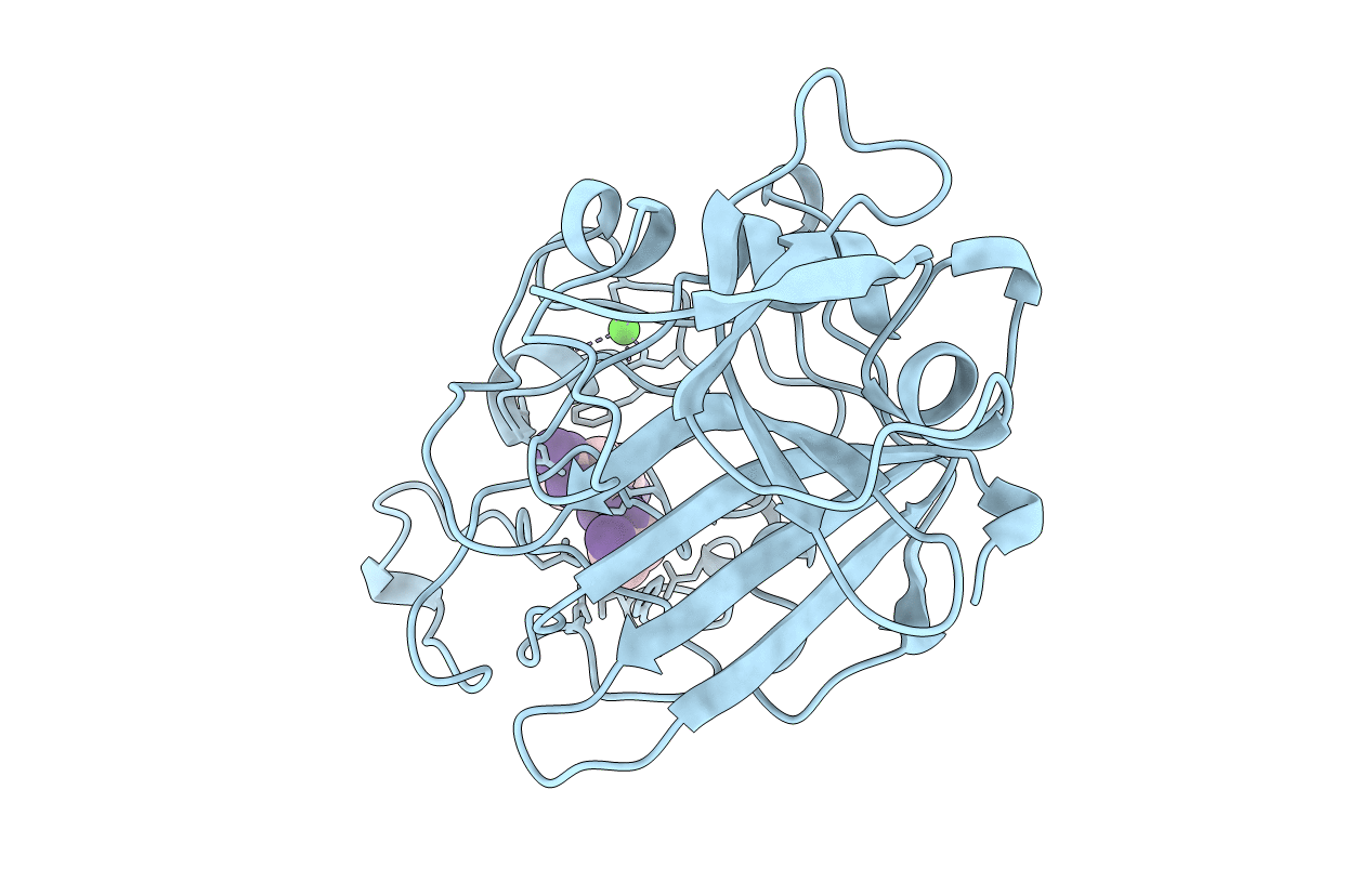 2FIB image