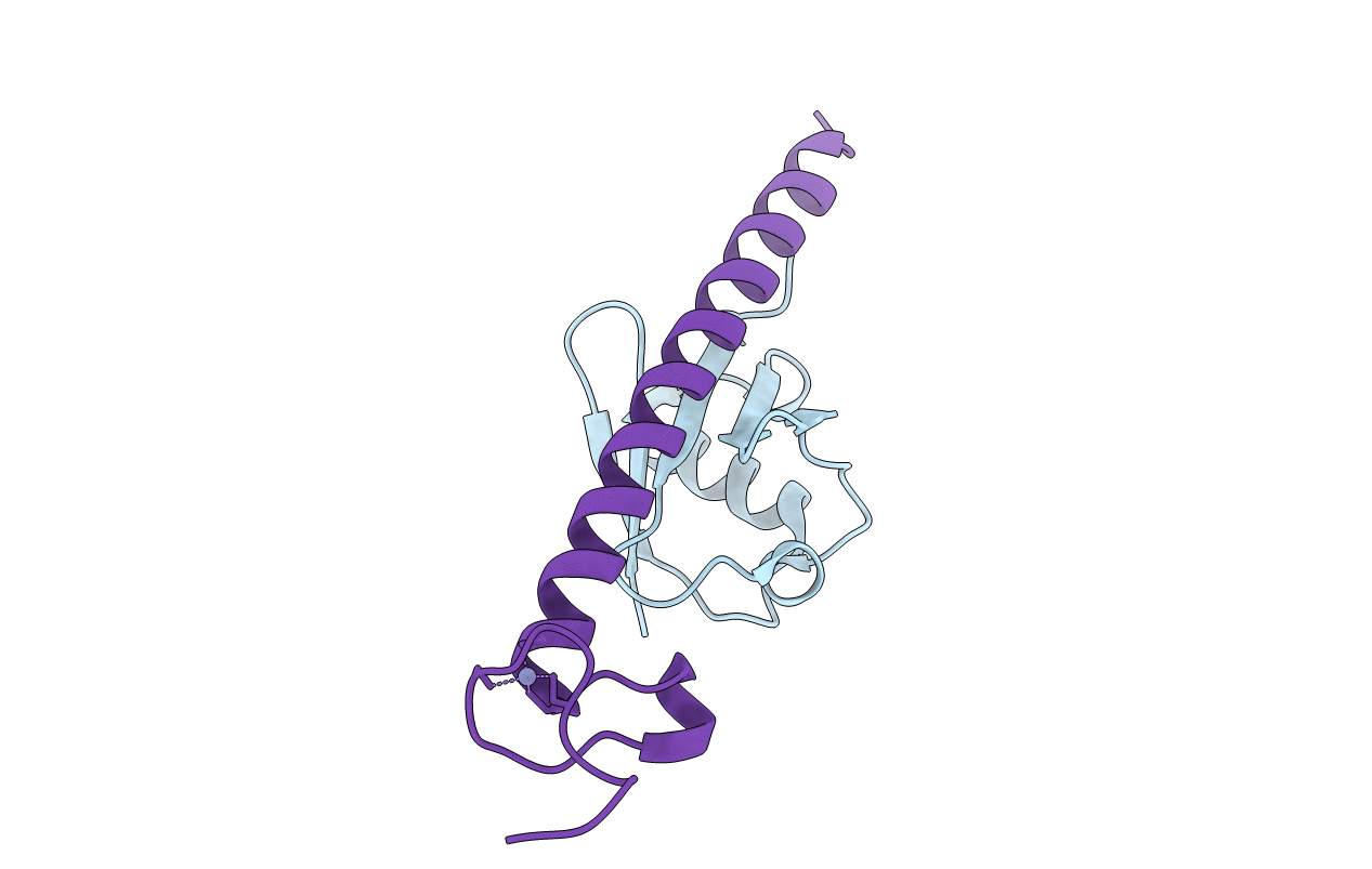 2FID image