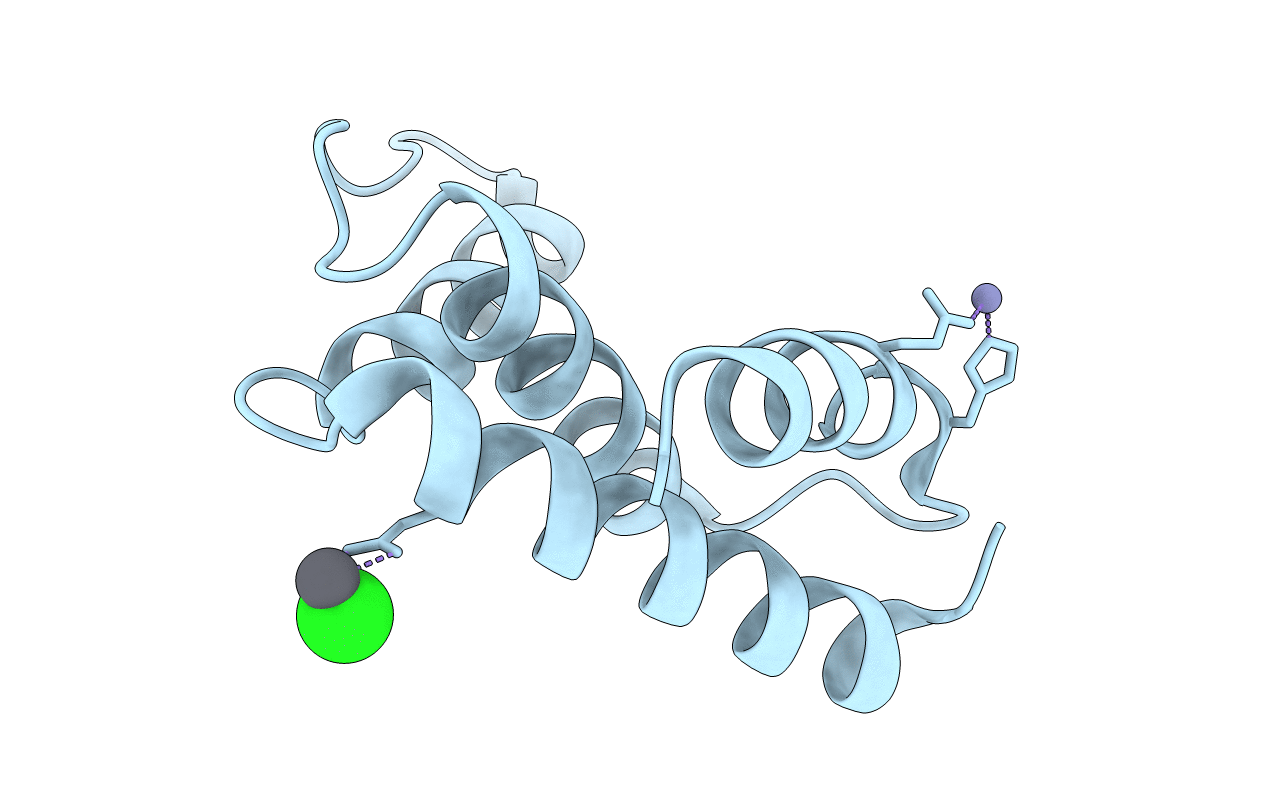 2FJ9 image