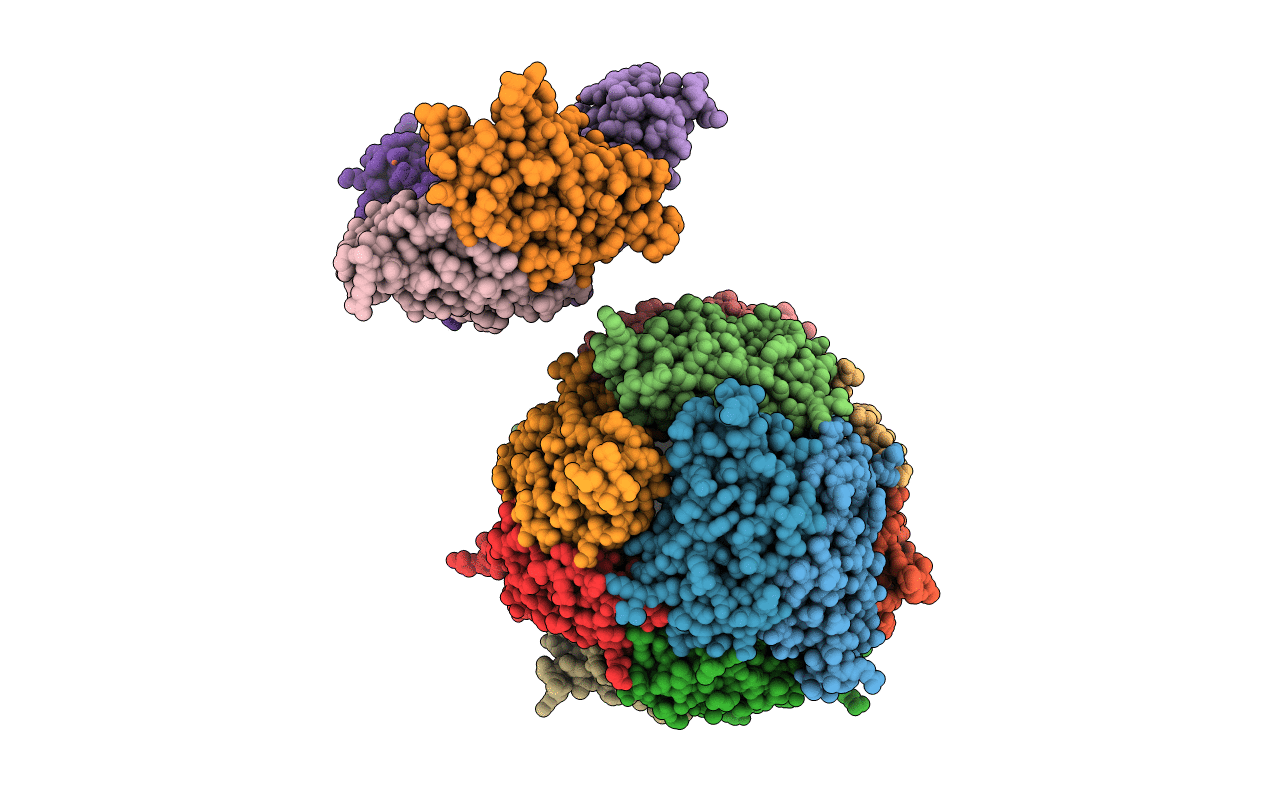 2FJC image