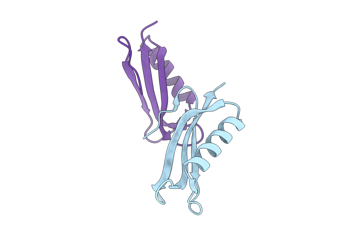 2FKL image