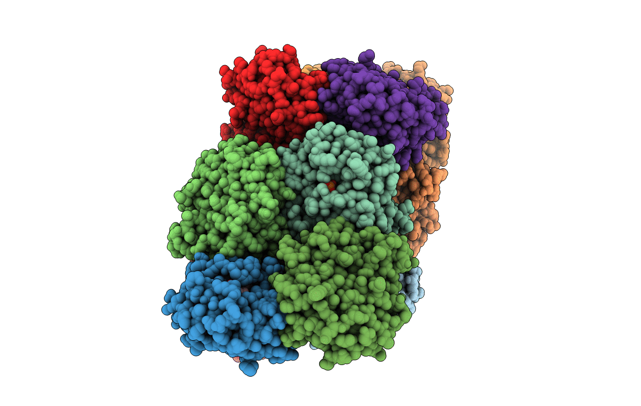 2FLI image