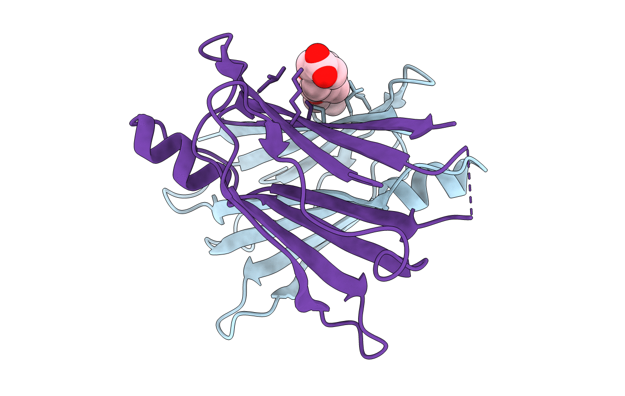2FLM image