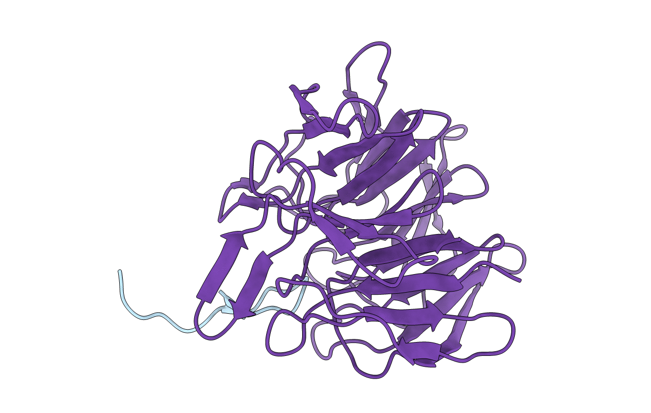 2FLU image