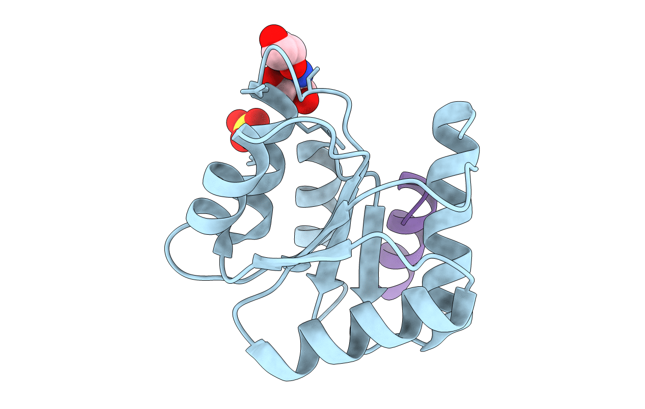 2FMI image