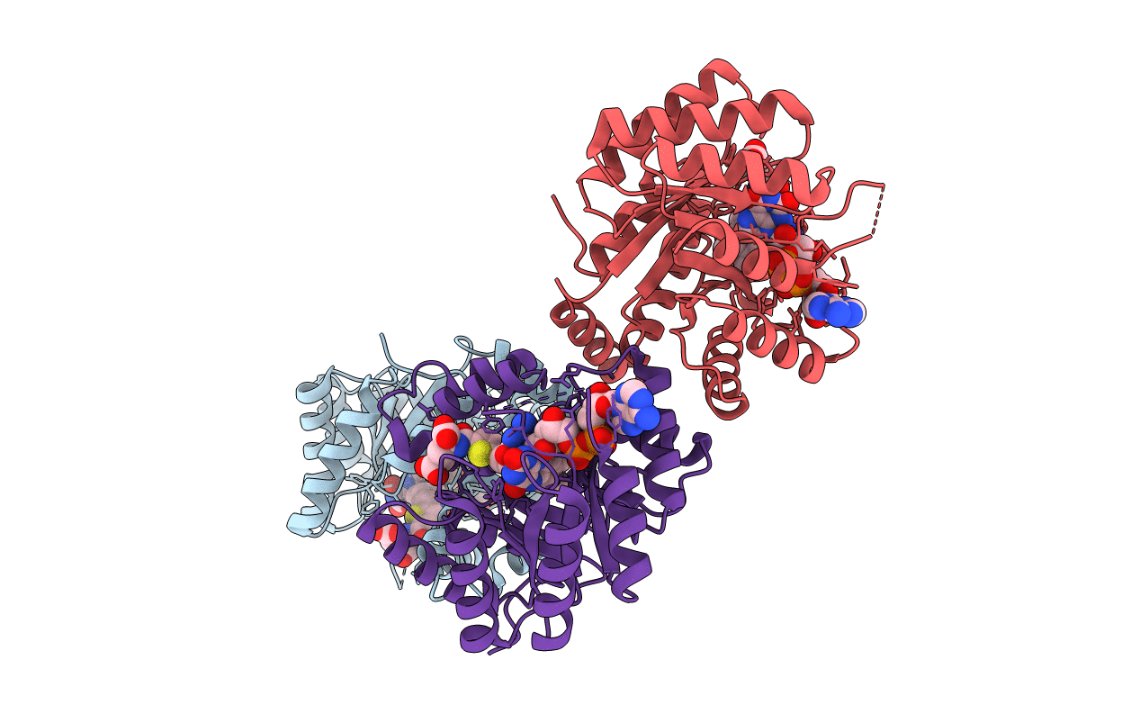 2FMN image