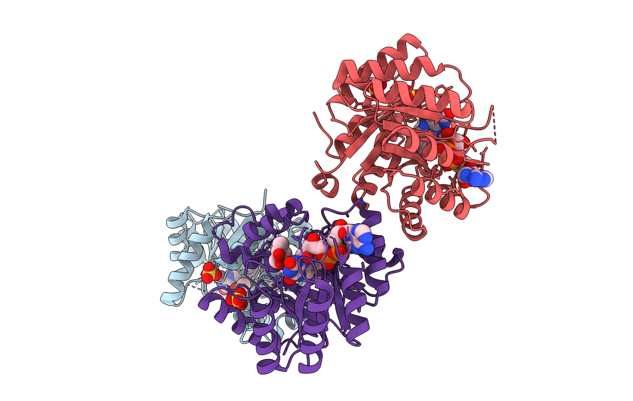 2FMO image
