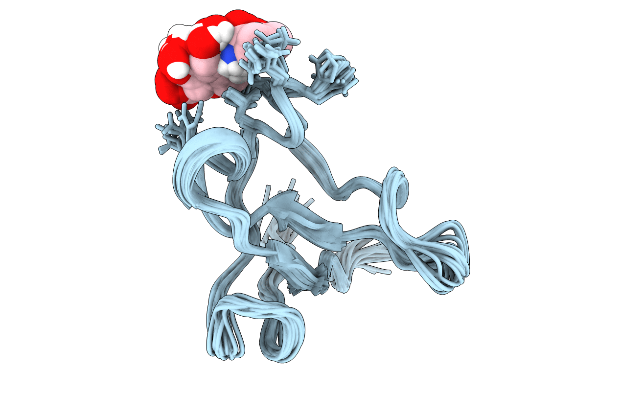 2FN2 image