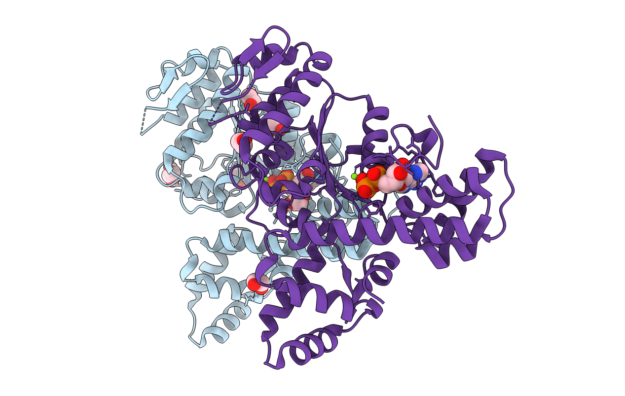 2FNA image