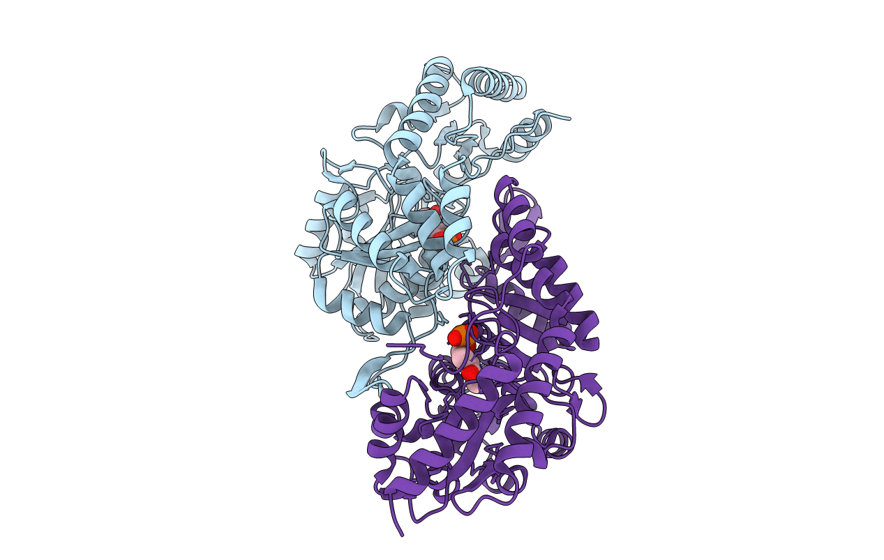 2FNI image