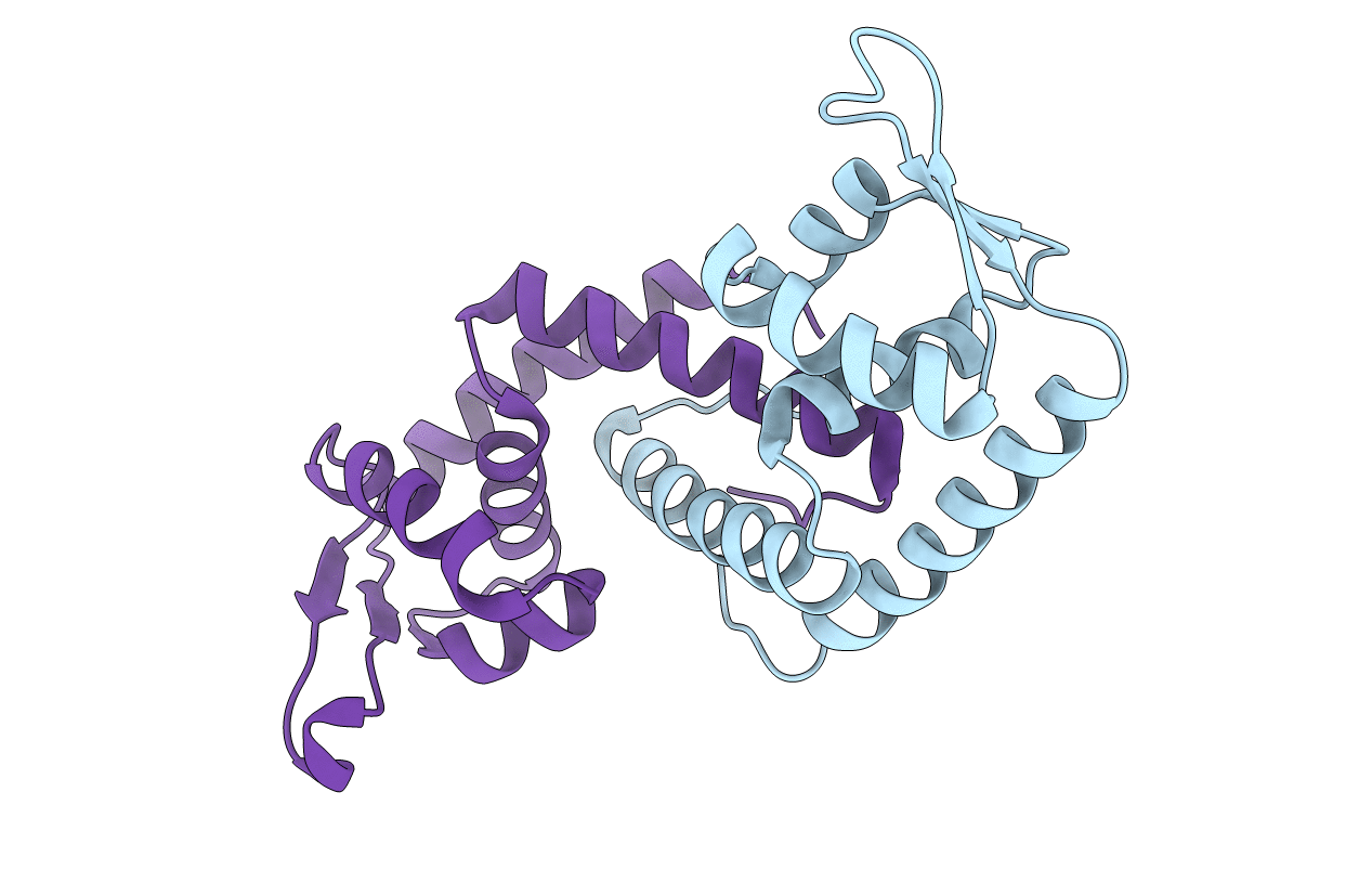 2FNP image