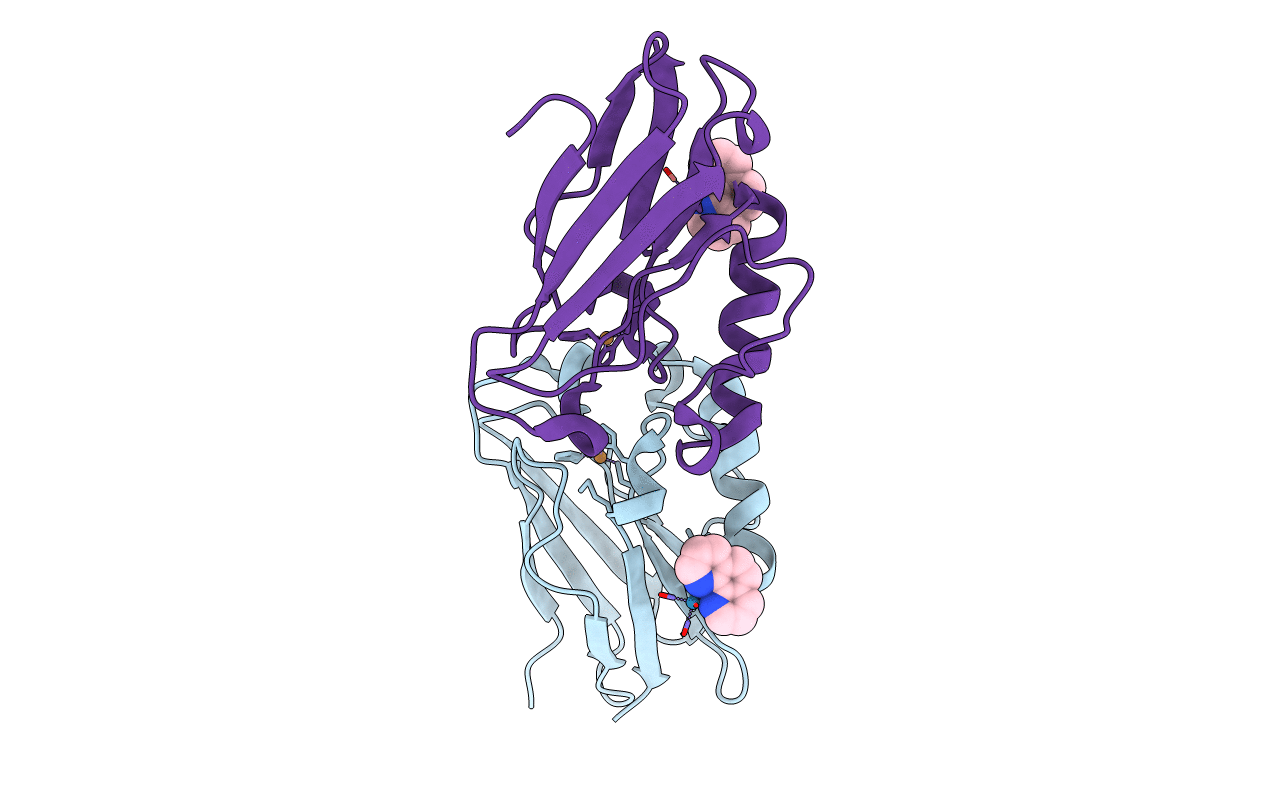 2FNW image