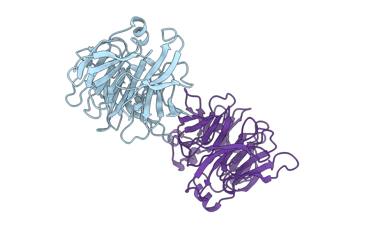 2FP8 image