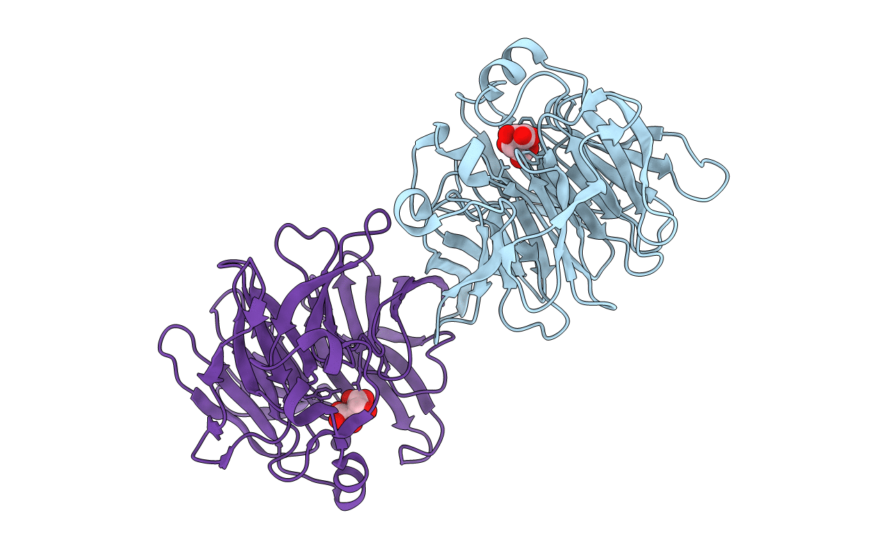 2FP9 image
