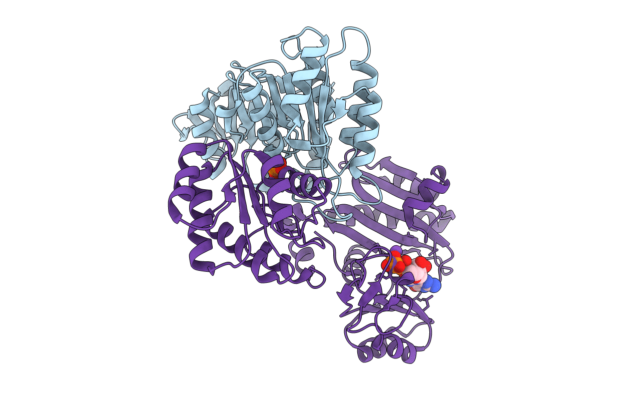 2FPG image