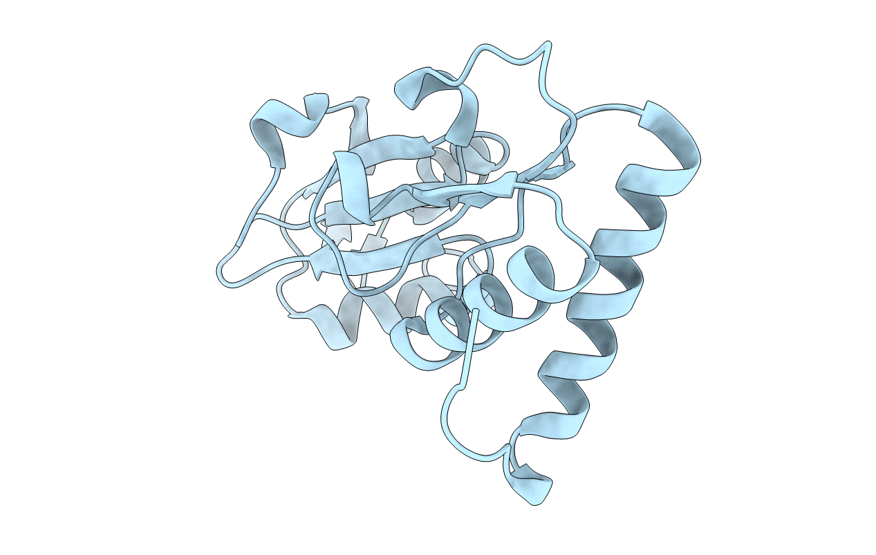 2FPH image