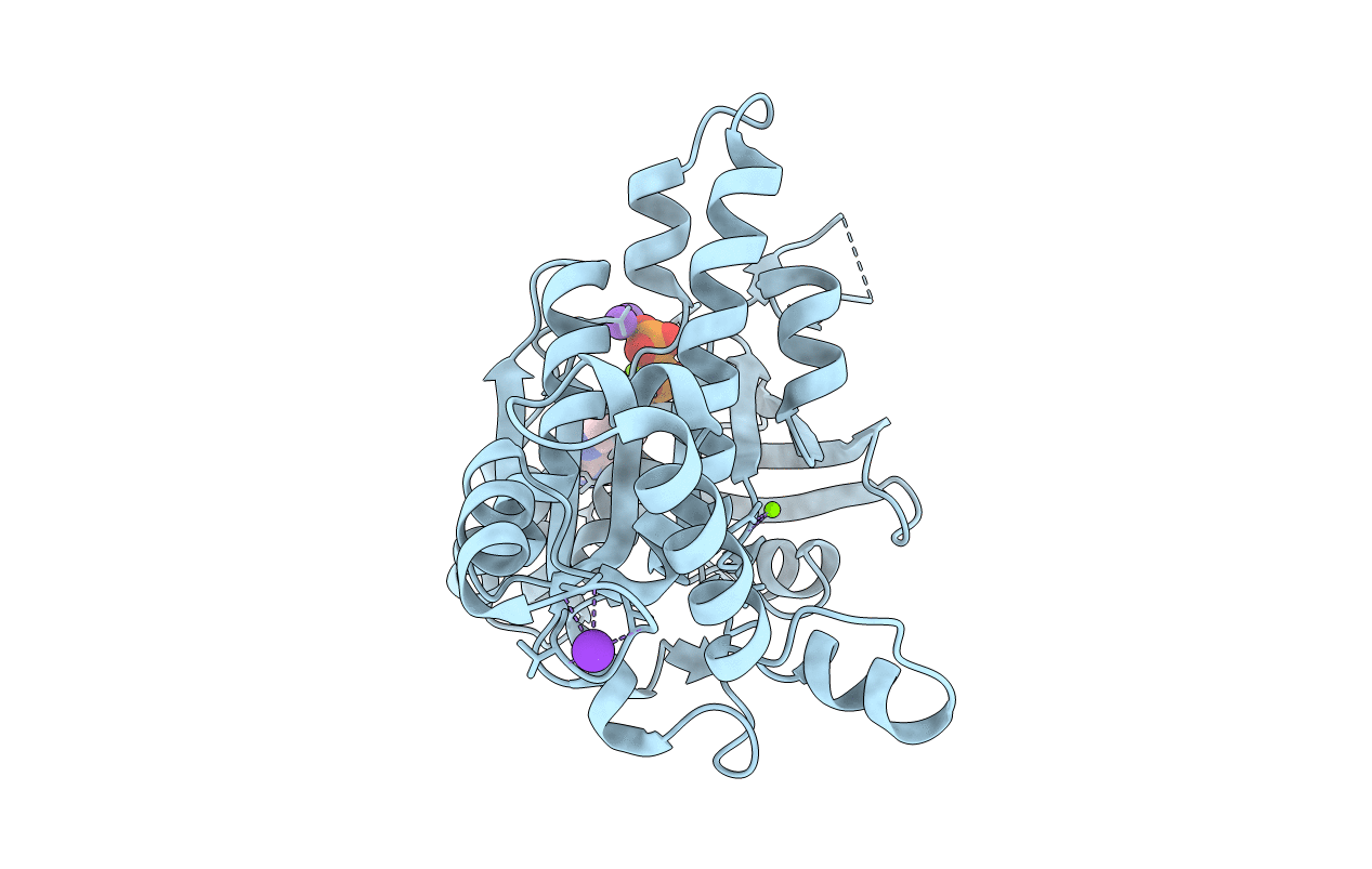 2FPM image