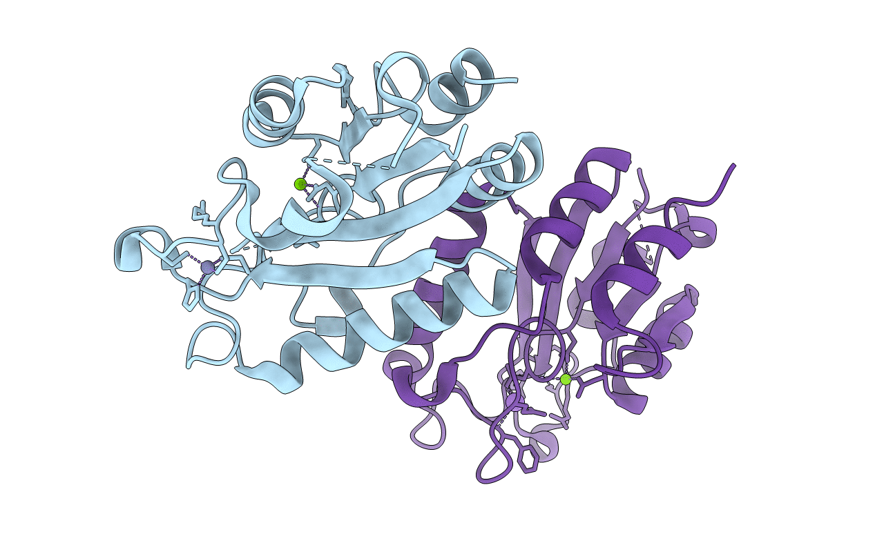 2FPR image