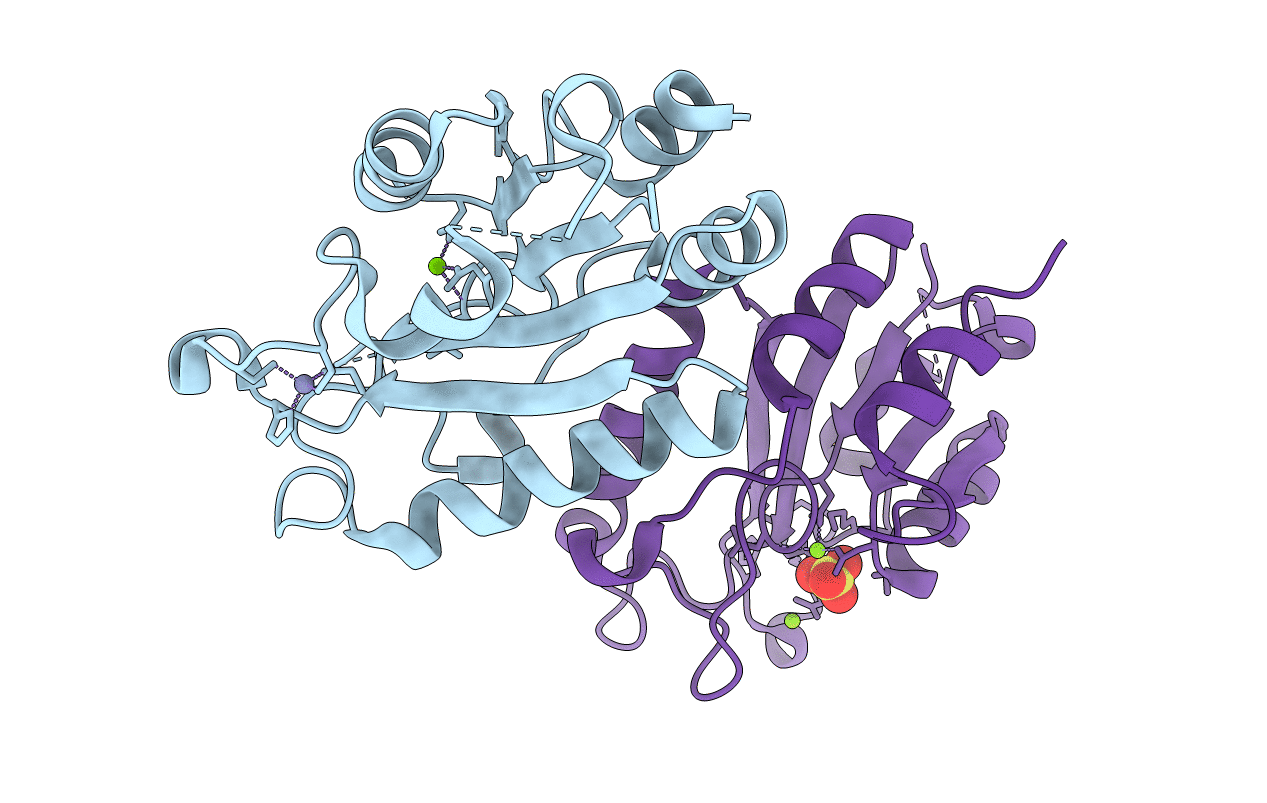 2FPX image