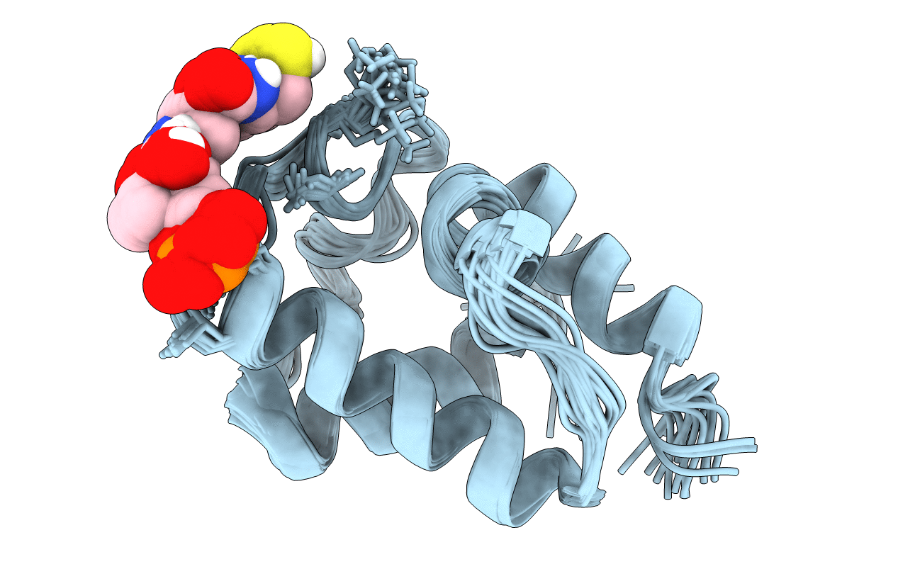 2FQ2 image