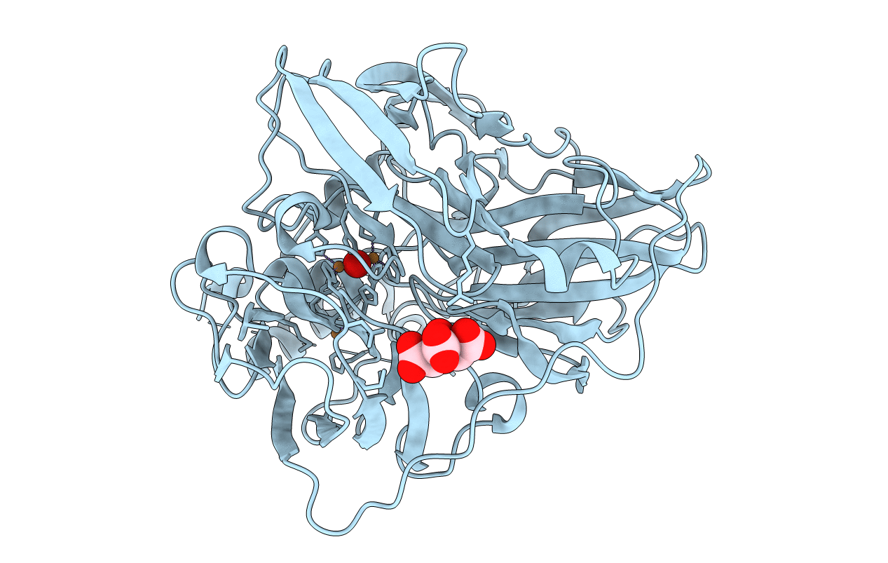 2FQD image