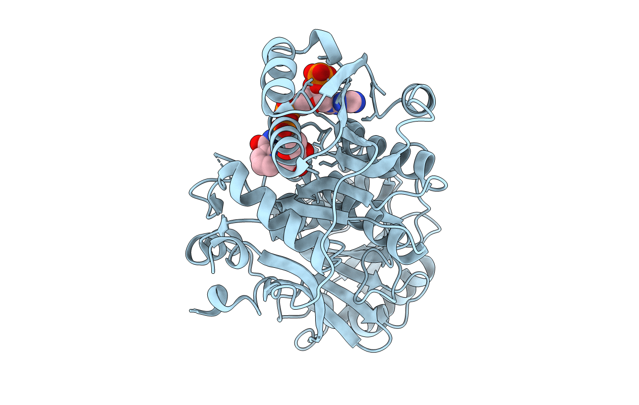 2FR1 image