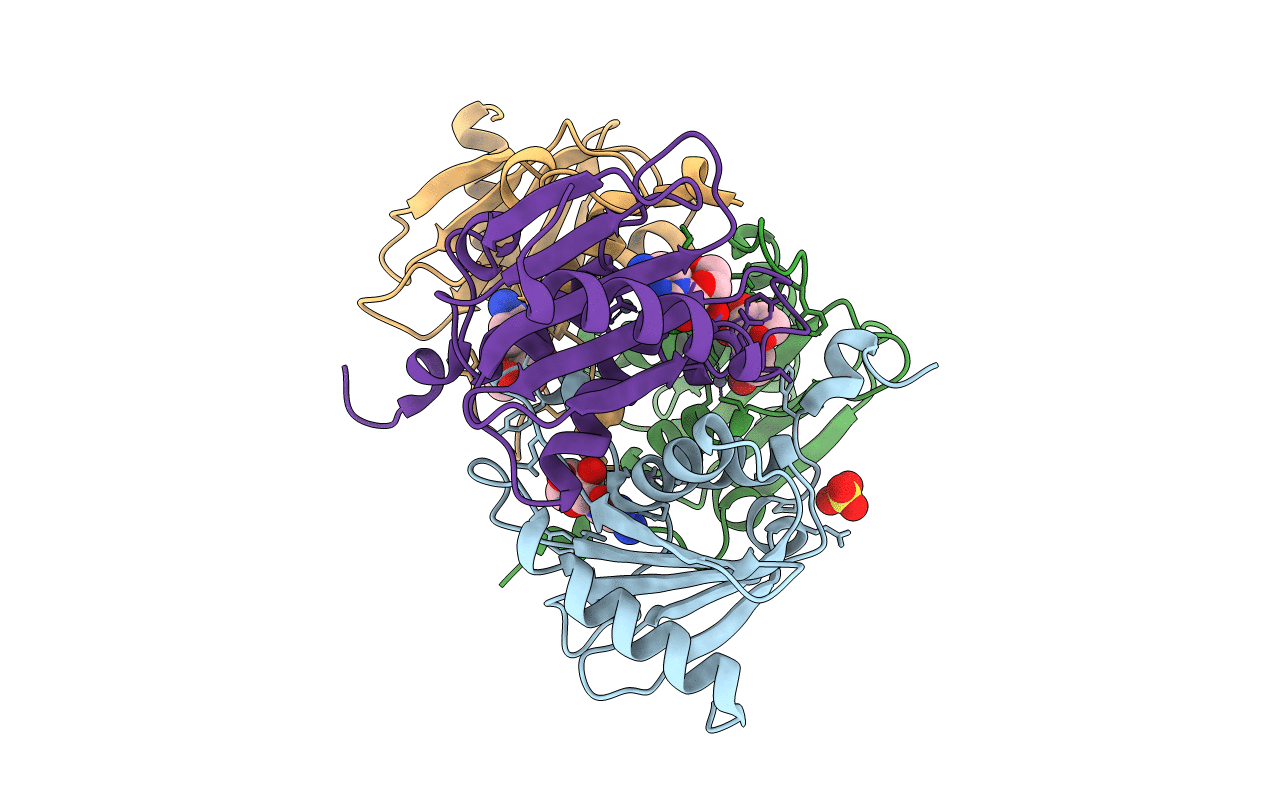 2FR6 image