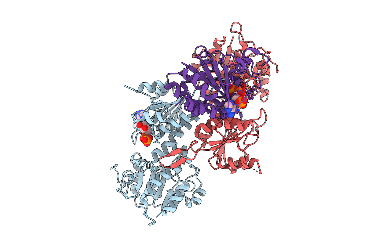 2FR8 image