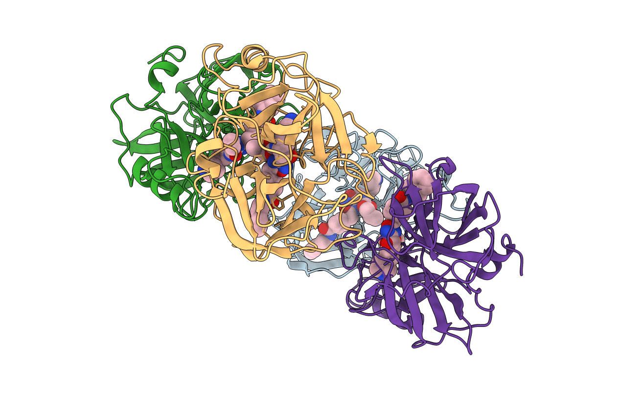 2FS8 image