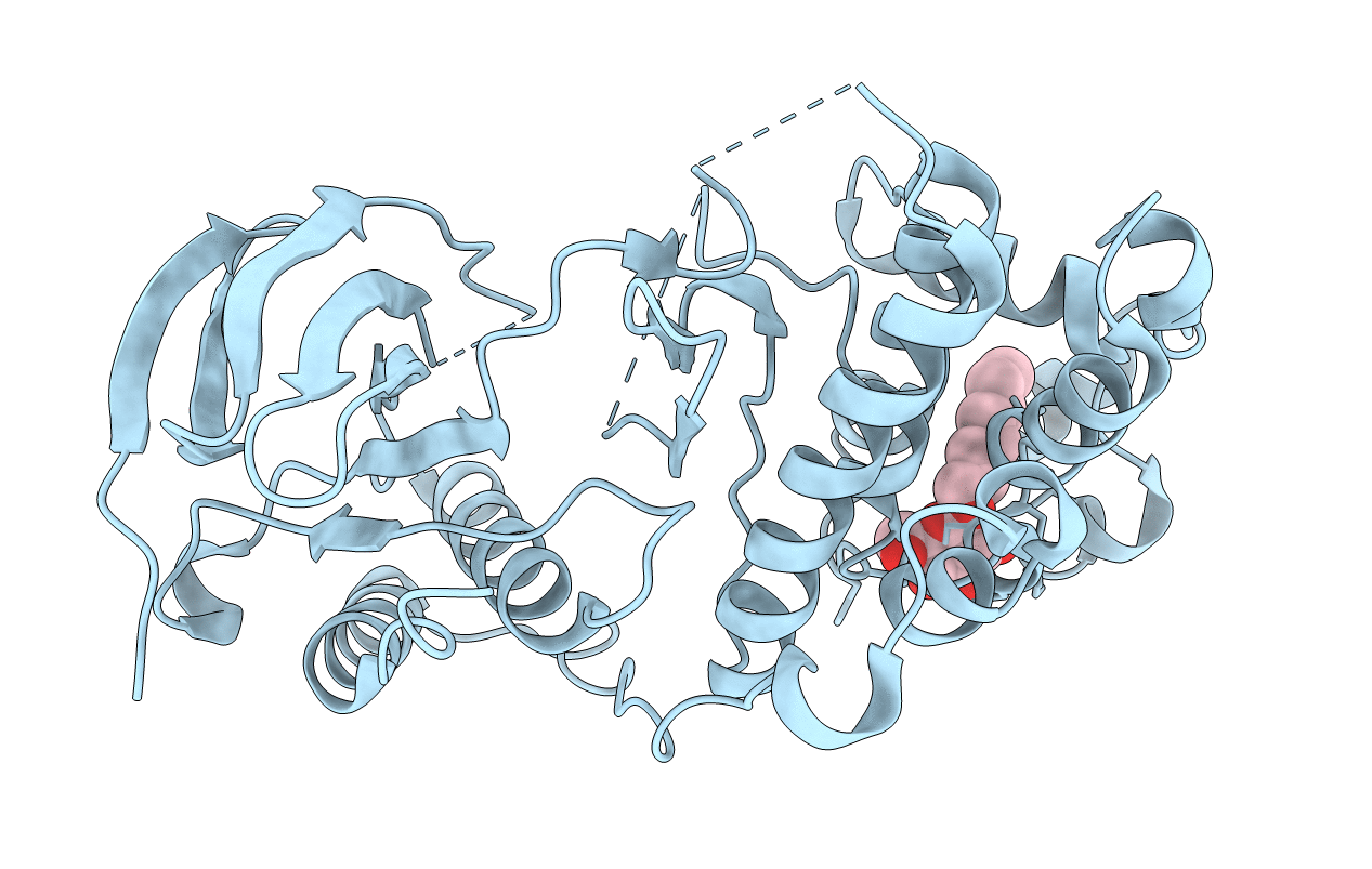 2FSL image
