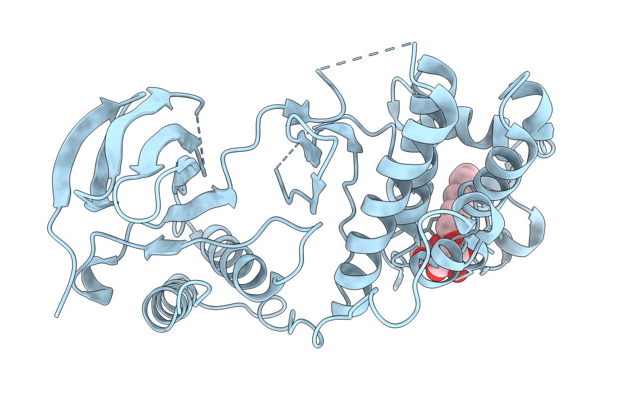 2FSM image