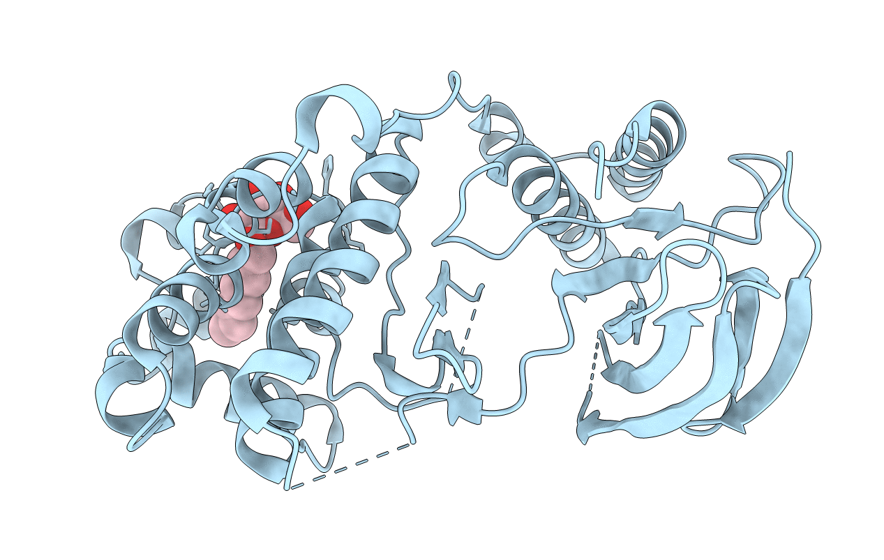 2FSO image