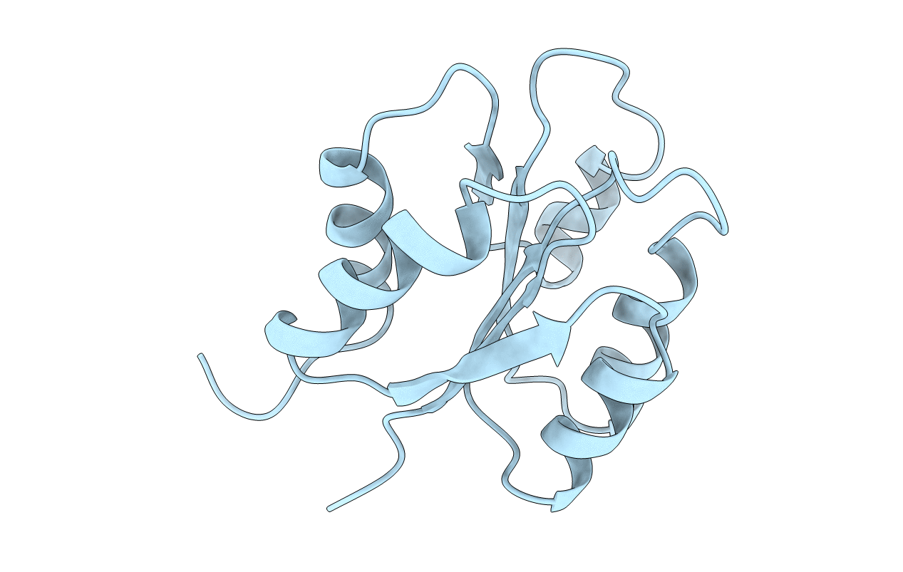 2FSP image