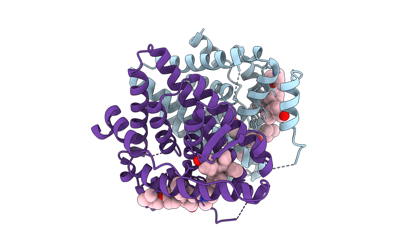 2FSZ image
