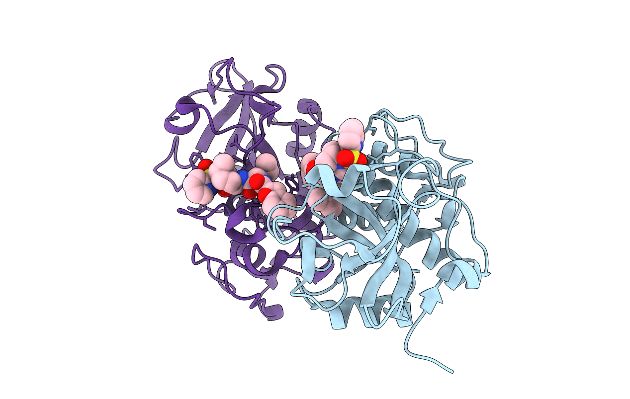 2FTD image