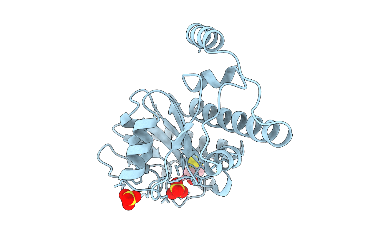 2FUA image