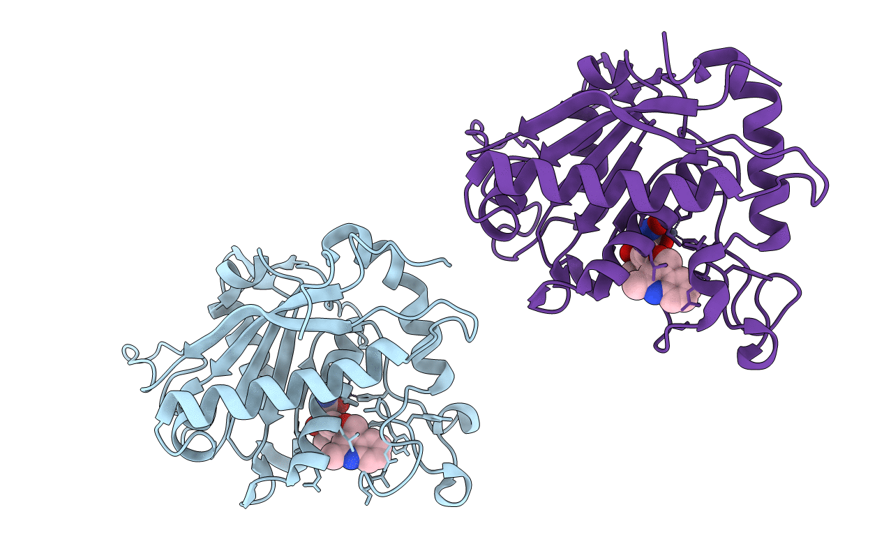 2fv5 image