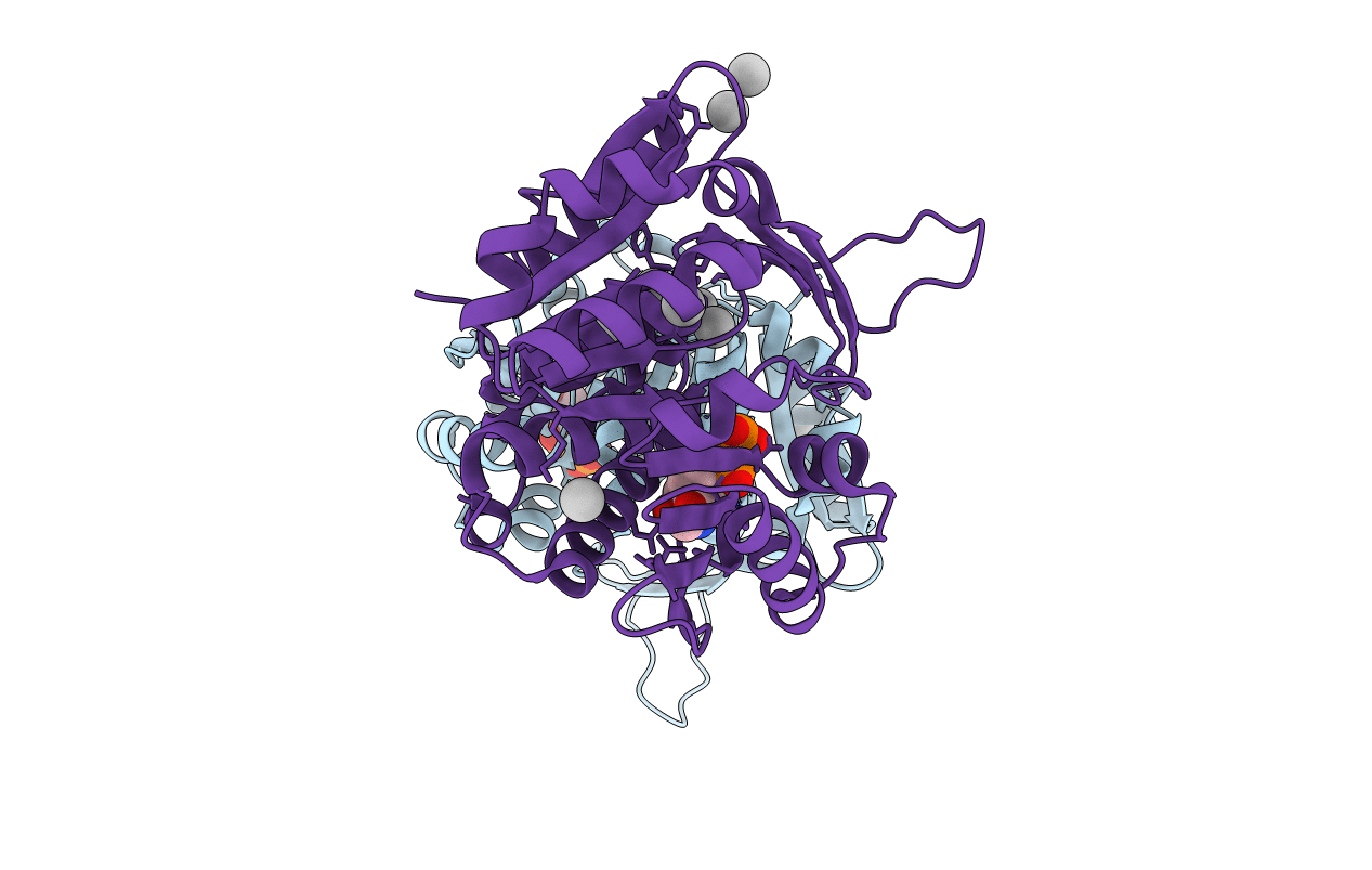 2FV7 image