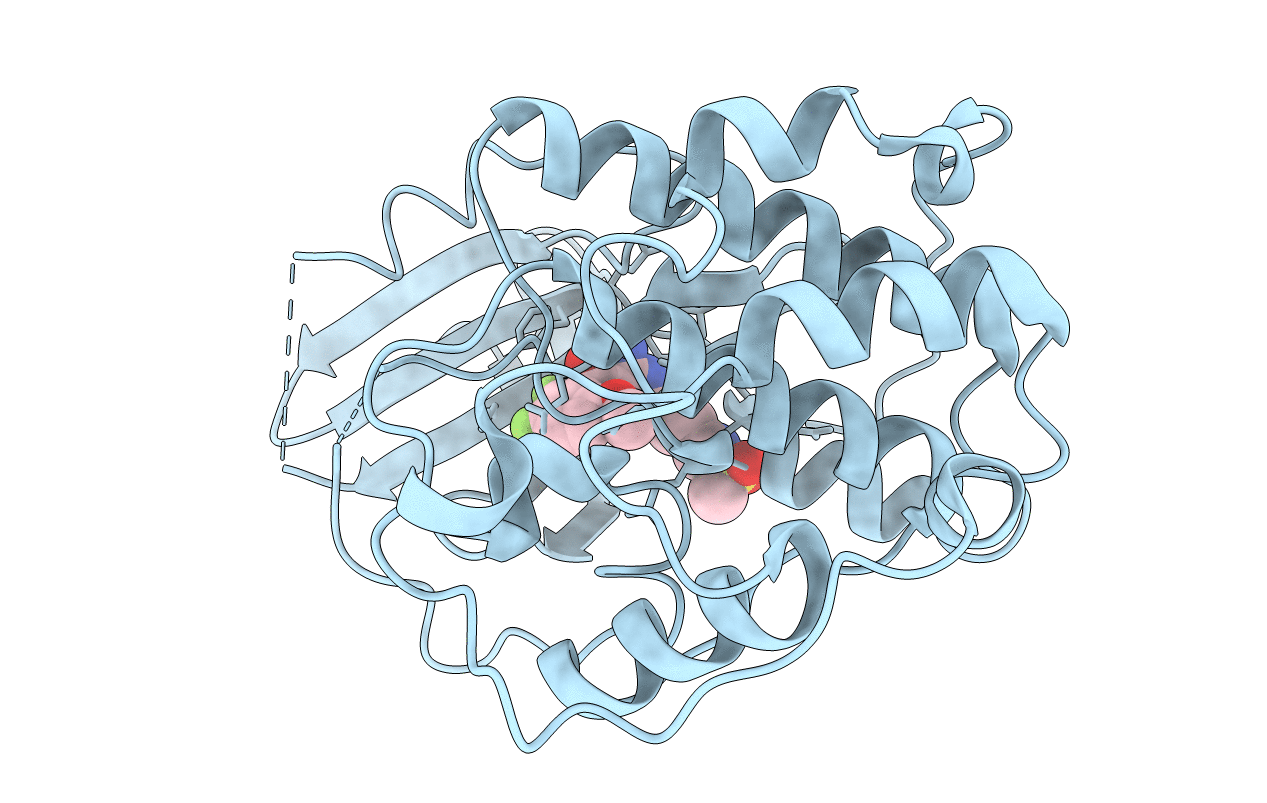 2FVD image