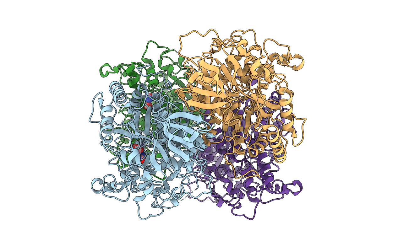 2FVM image