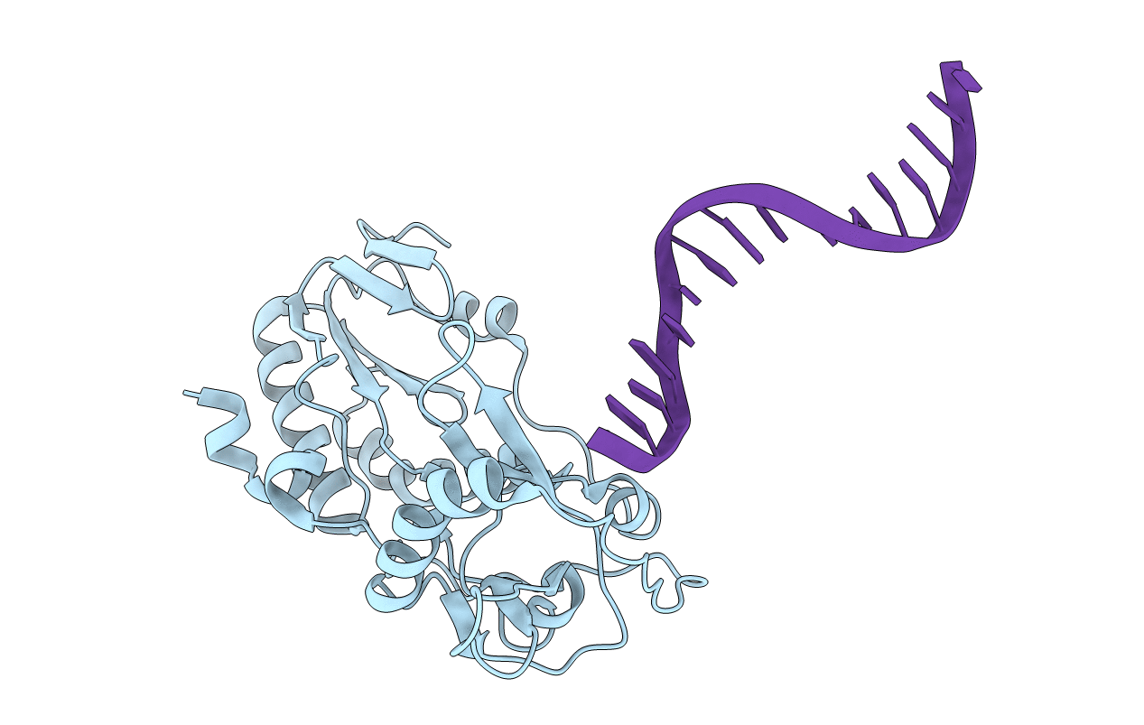 2FVS image