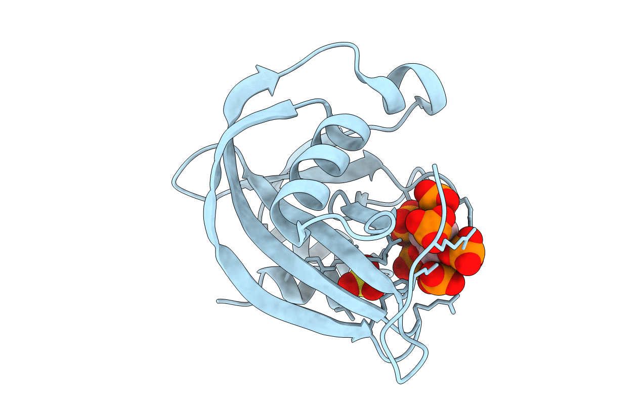 2FVV image