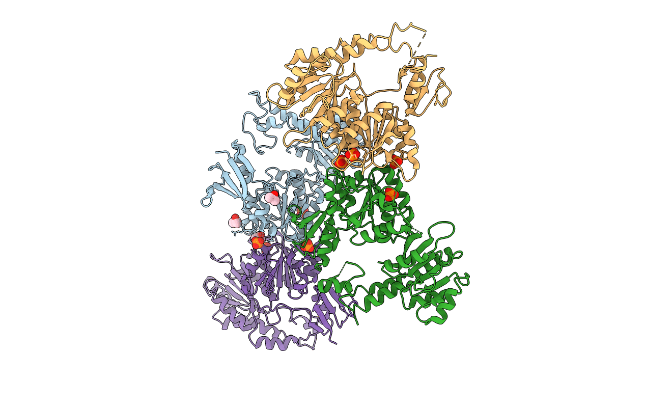 2FWR image