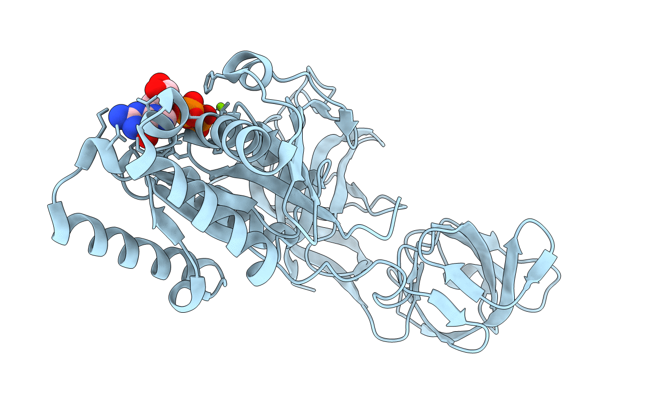 2FX3 image