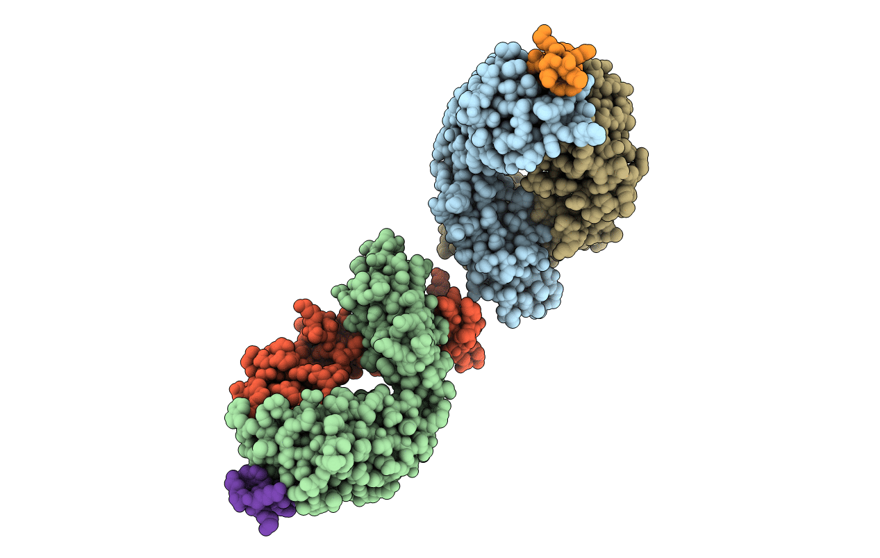 2FX9 image