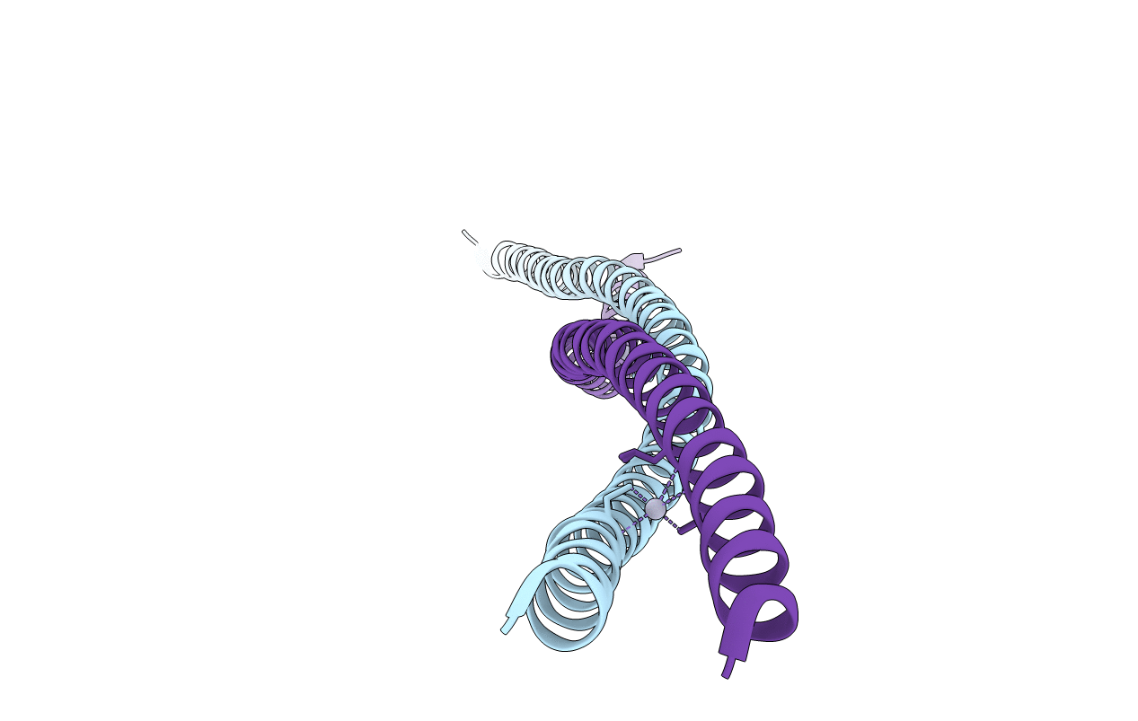 2FXM image