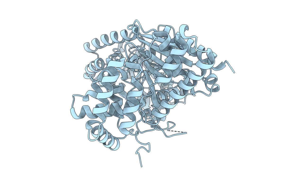2fy2 image